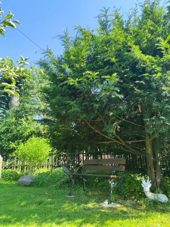 Agroturystyka U Strazaka Świeradów-Zdrój Exteriér fotografie