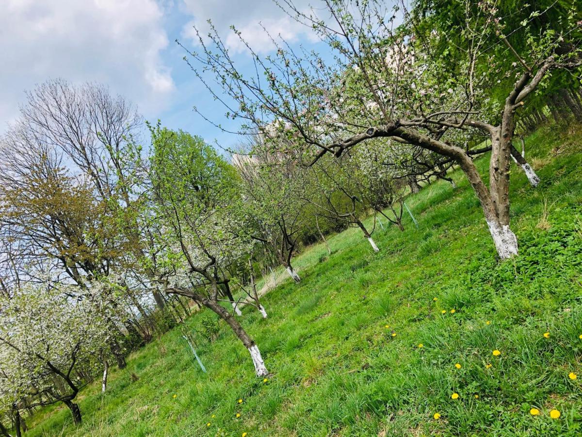 Agroturystyka U Strazaka Świeradów-Zdrój Exteriér fotografie